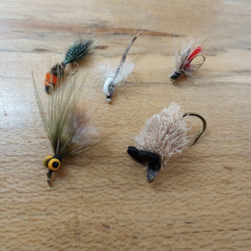 Fly-tying for Beginners with Andrew Guarraria