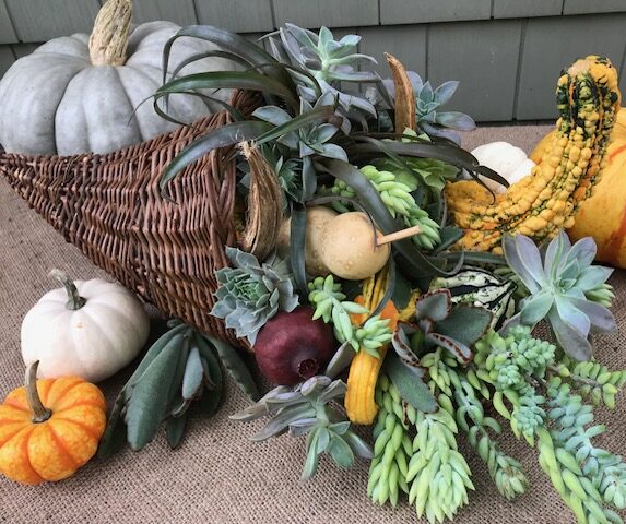 Festive Thanksgiving Cornucopia with Claire Jones