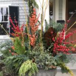 Make a Holiday Porch Pot with Claire Jones