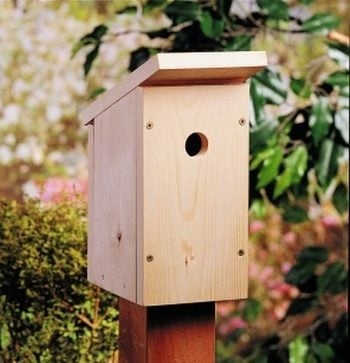 Parent & Child Birdhouse with Merreyman Custom Woodcraft