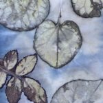 Introduction to Eco-Printing with Marta Riemer