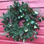 Evergreen wreaths with Spore and Seed