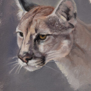 JLalingo Cougar Portrait.jpg