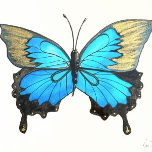 Kas Rohm Butterfly Blue.jpeg