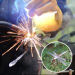 Beginner Welding with Michael Guarraia: Dragonfly