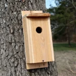 Build a Cedar Picket Eastern Bluebird House with Tom Parmelee $75 (includes materials)