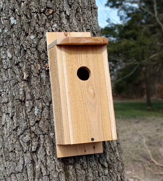 Build a Cedar Picket Eastern Bluebird House with Tom Parmelee $75 (includes materials)